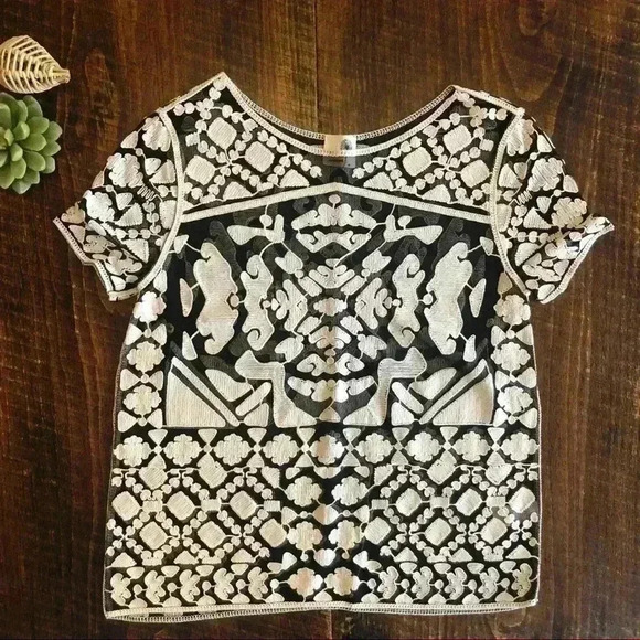 Anthropologie | Everleigh Rococo Sheer Black & Cream Embroidery Blouse - Picture 3 of 7